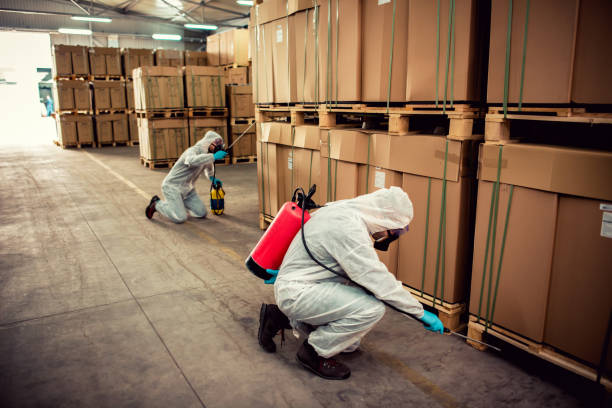 Best Exterminator Services  in Preston, ID