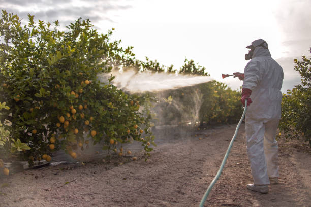 Best Pest Inspection Near Me  in Preston, ID