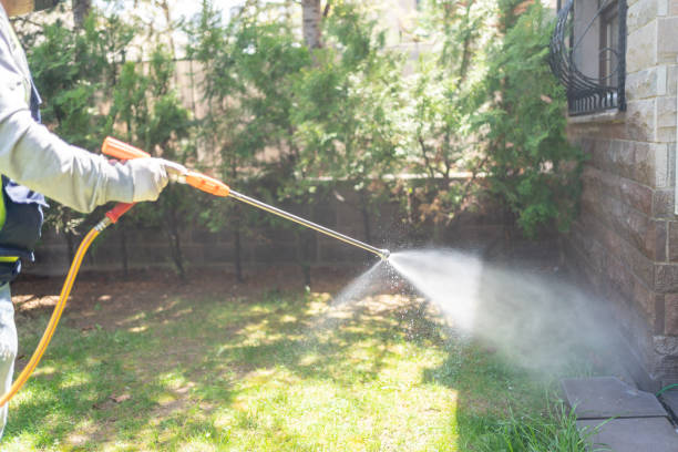 Best Residential Pest Control  in Preston, ID