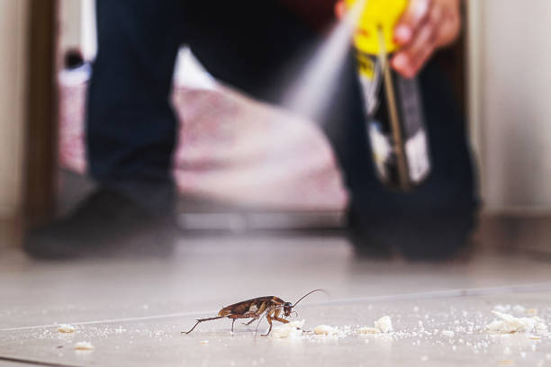 Best Pest Control Near Me  in Preston, ID