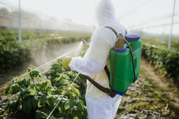 Best Pest Control Near Me in Preston, ID